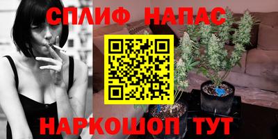амф Кимры